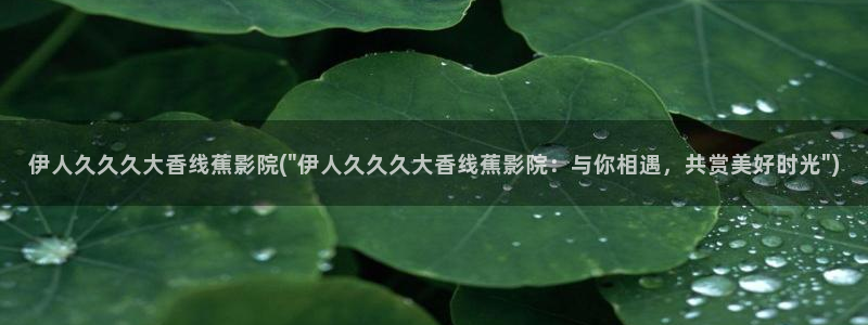 伊人醉 全网视频盛宴