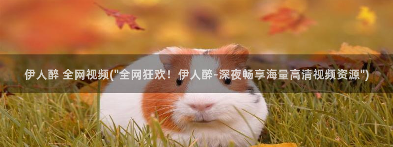 久久影院伊人影