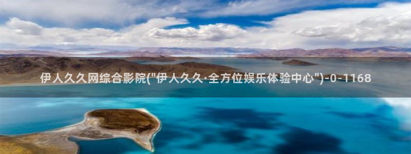 伊人 久久网视频在线