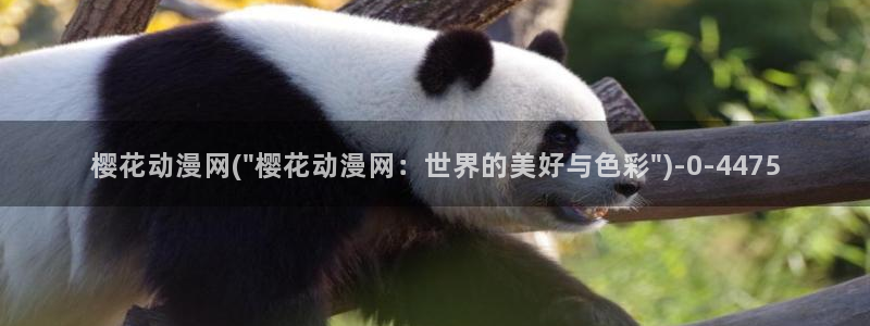 国产动漫：樱花动漫网(\