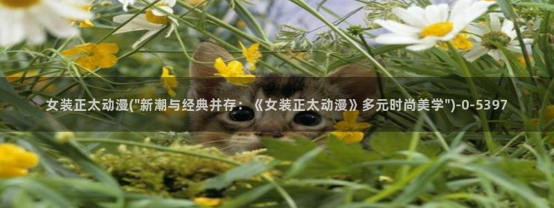 动漫成人