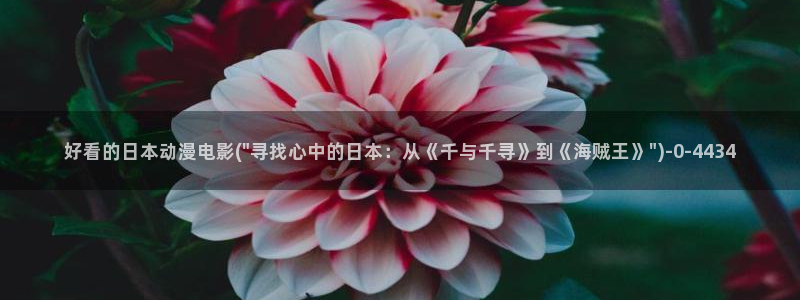 全职高手动漫